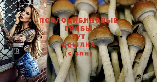 MDMA Михайловка