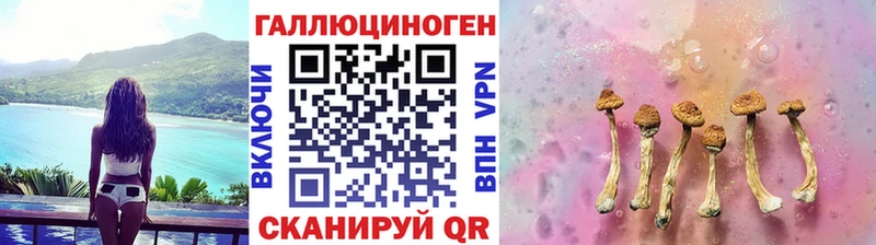 магазин продажи   Ипатово  Галлюциногенные грибы прущие грибы 