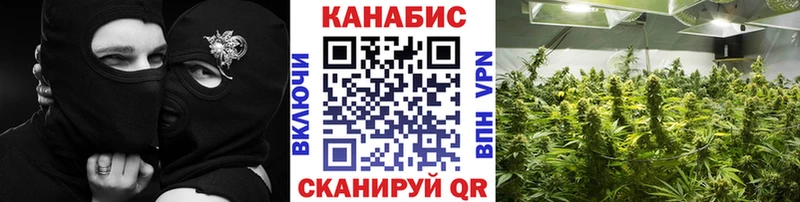 Конопля ГИДРОПОН  Ипатово 